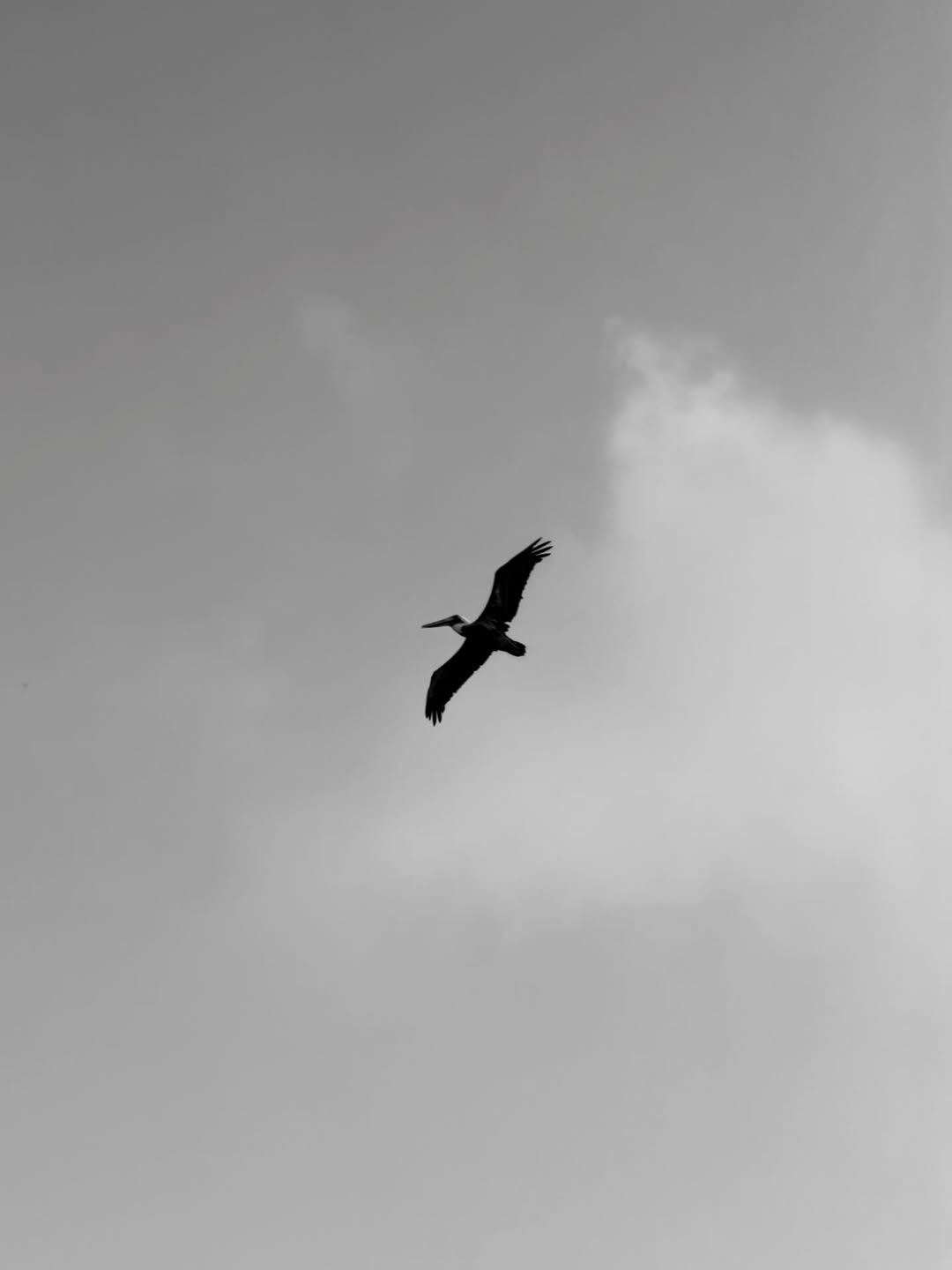 Aruba